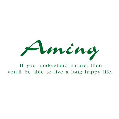 Amingのロゴ